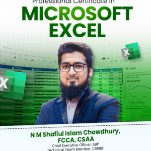 Professional Certificate in Microsoft Excel