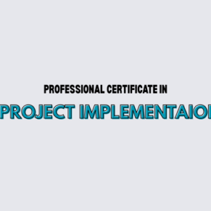 Project Implementation