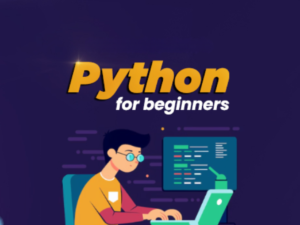 Python for Beginners.png